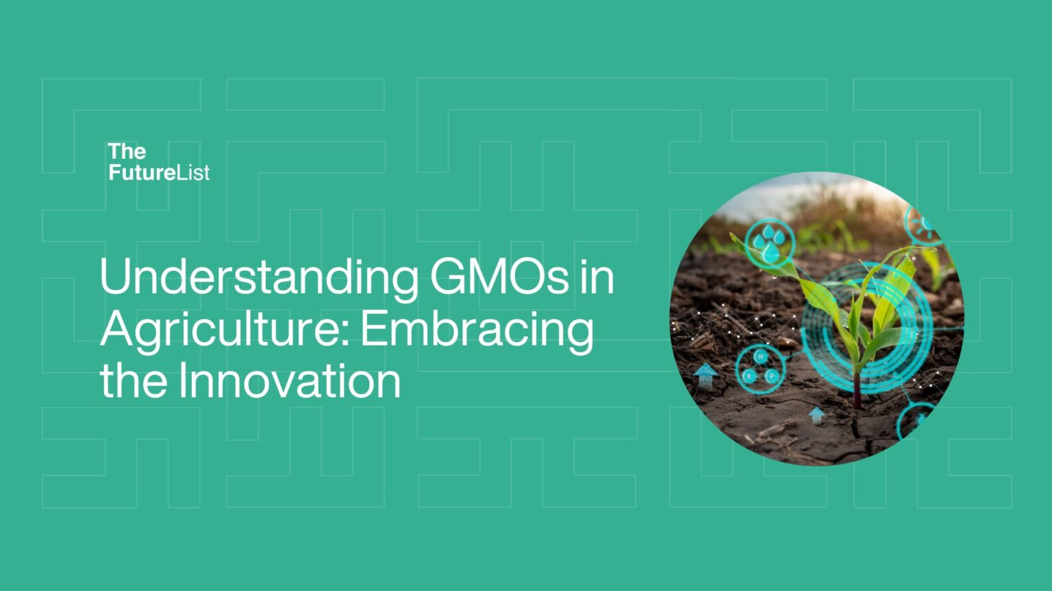 Understanding GMOs in Agriculture: Embracing the Innovation - The ...